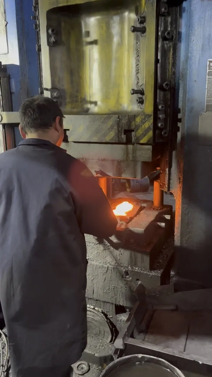 Forging on the press at a partner plant